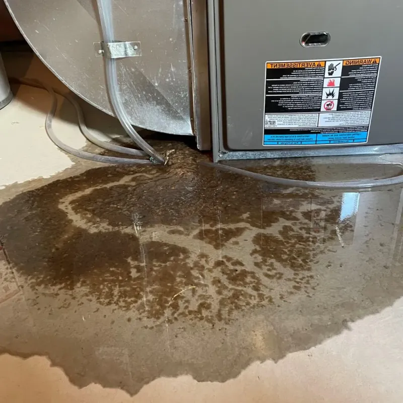 Pipe Burst and Leak Restoration in Bryson City, NC