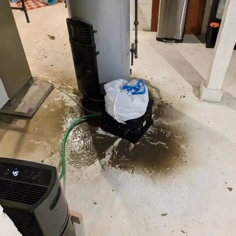 Sewage Backup Cleanup Service in Bryson City, NC